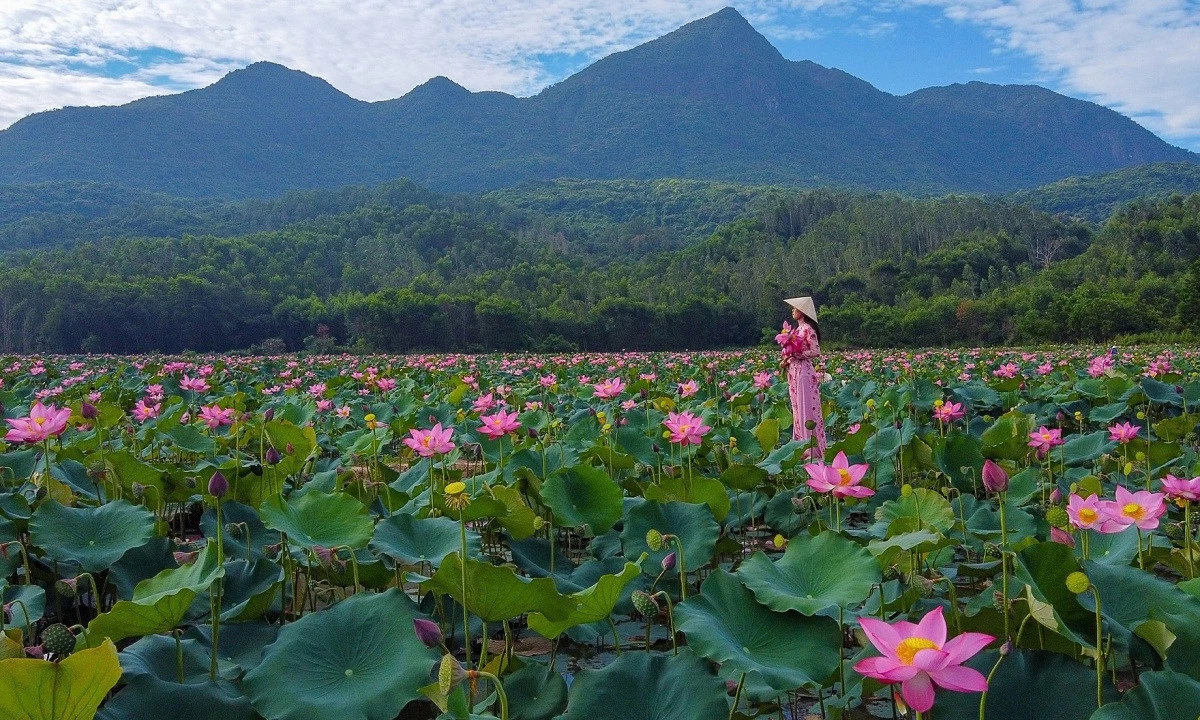 2-1622881030-1622883889-1622949785-1