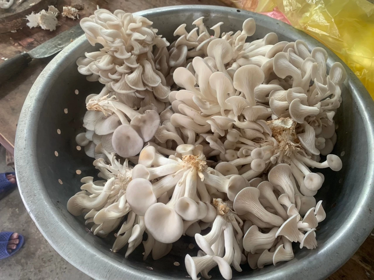 image-20240515055353-1