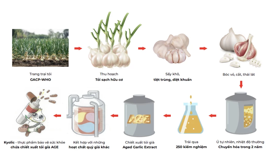 quy-trinh-chiet-xuat-age